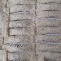 تولید رشته خشکار با برنج محلی