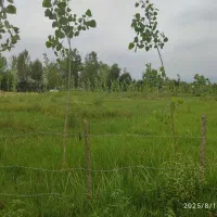 زمین شهری|فروش زمین و ملک کلنگی|گوراب زرمیخ, |دیوار