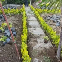 باغبانی همه نقاط تهران پذیرفته میشود مرادی خدمات|خدمات باغبانی و درختکاری|تهران, نیاوران|دیوار