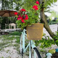 اجاره ویلا باغ روزانه