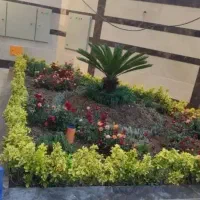 خدمات باغبانی باغچه کاری تعویض خاک گلدون کاشت گل