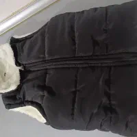 پافر