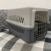 باکس گربه یاسگ