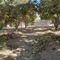 باغ 1000متر/دیوار/آب فراوان/فاروق|فروش زمین و ملک کلنگی|سیدان, |دیوار