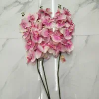 گل محمدی و ارکیده|گل مصنوعی|تبریز, |دیوار