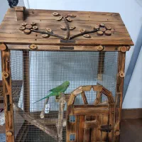 قفس پرنده زینتی بزرگ ( کلبه پرنده لاکچری )|لوازم جانبی حیوانات|زرگرشهر, |دیوار