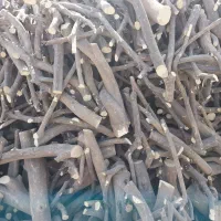 چوب|خدمات باغبانی و درختکاری|جیرفت, |دیوار
