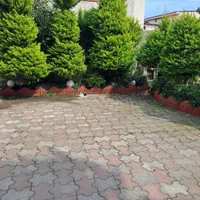 سوئیت ساحلی|اجارهٔ کوتاه‌مدت آپارتمان و سوئیت|عباس‌آباد, |دیوار