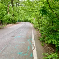 پیاده روی در طبیعت گرگان