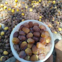 رطب برحی|خوردنی و آشامیدنی|تهران, آرژانتین|دیوار