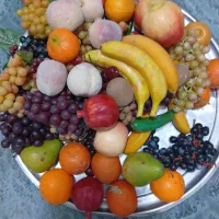 میوه مصنوعی|مجسمه، تندیس، ماکت|تهران, تاکسیرانی|دیوار