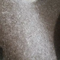 پالازموکت موکایی