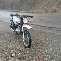 احسان شکاری