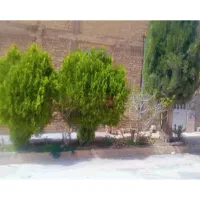 فروش-باغ-شهری-1000-متر-شهر-صدرا