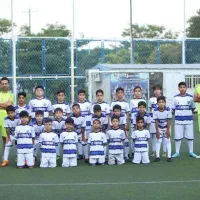 مدرسه فوتبال فرداد(دارای8زمین چمن و سالن اختصاصی)|ورزش‌های توپی|مشهد, شهرک شیرین|دیوار