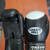 دستکش بوکس و کیک بوکسینگ