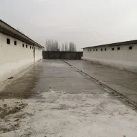 کارگر مرغداری