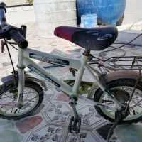 دوچرخه 12 بچه گانه