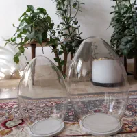تنگ شیشه ای