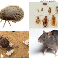 سمپاشی ساس،موش سوسک موریانه شپش گال(تضمینی)سم پاشی