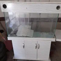 اکواریوم