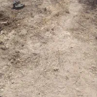 فروش زمین به مساحت ۲۰۰ متر