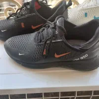 کتونی|کیف، کفش، کمربند|نکا, |دیوار