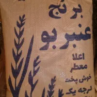 برنج درجه یک عنبربو