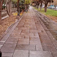 سرویس مدرسه