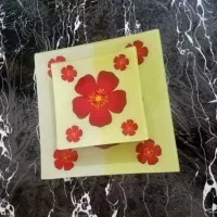 سرخ کن و ابمرکبات گیری نو|آبمیوهگیر و آبمرکباتگیر|اندیشه, اندیشه فاز ۳|دیوار