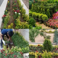 خدمات باغبانی کاشت گل فضای سبز خاک گلدان باغبان