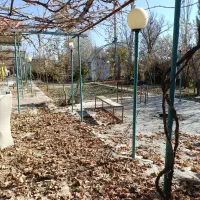 اجاره  روزانه|اجارهٔ کوتاه‌مدت ویلا و باغ|زنجان, |دیوار