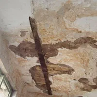 گچ کارخورده کاری لکه گیری نصب دیوارگچی گچکاری گچ|خدمات پیشه و مهارت|مشهد, شاهد (شهرک غرب)|دیوار