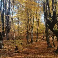 نیازمند ادمین خانم وعکاس برایه درمانگاه