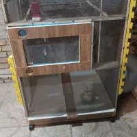 قفس سهره عروس کاسکو