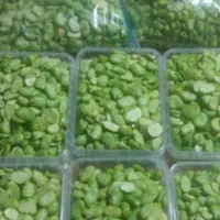 همکار،کارگر در سبزی خردکنی باجای خواب،خانم یاآقا|استخدام خدمات فروشگاه و رستوران|تهران, خزانه|دیوار