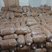 فروش خرما قصر|عمدهفروشی|سرپل ذهاب, |دیوار