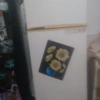 یخچال اسم فیلور