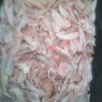 آشغال گوشت مناسب سگ و گربه