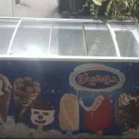 فریزر خوابیده ۶۰۰ لیتری