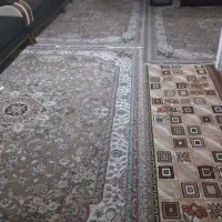 فرش ۹ متری ۵۰۰ شانه|فرش|بومهن, |دیوار