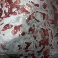 سنگدان مرغ|خوردنی و آشامیدنی|بستان آباد, |دیوار