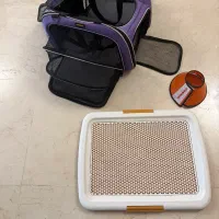 ساک سگ|لوازم جانبی حیوانات|تهران, اقدسیه|دیوار