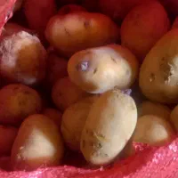 سیب‌زمینی‌‌درهم