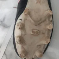 کفش ورزشی|کیف، کفش، کمربند|مشگین شهر, |دیوار