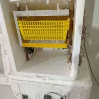 دستگاه جوجه کشی