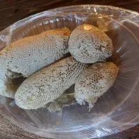 عسل اصل