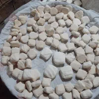 کشک‌تازه|خوردنی و آشامیدنی|فیروزآباد (لرستان), |دیوار