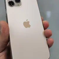 11pro max