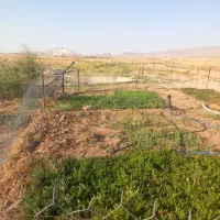 فروش مزرعه شش دانگ  تک  برگ  سند